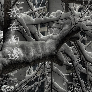 动漫美女姐姐姐免费裸装
