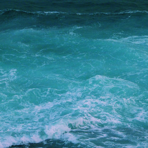 动漫美女姐姐姐免费裸装
